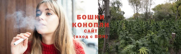 мдпв Волоколамск