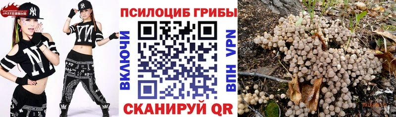 Купить  Макарьев  Псилоцибиновые грибы GOLDEN TEACHER 